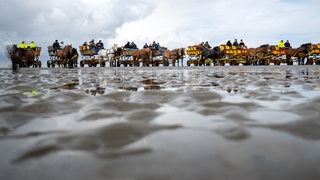 Pferdekutschen stehen bei Cuxhaven im Watt.