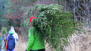 Ein Mann trägt ein Weihnachtsbaum aus einem Wald. (Symbolbild)