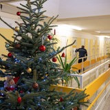Auf dem Flur einer Justizvollzugsanstalt steht ein geschmückter Weihnachtsbaum.