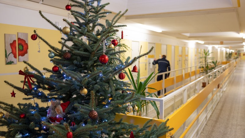 Auf dem Flur einer Justizvollzugsanstalt steht ein geschmückter Weihnachtsbaum.