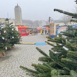 Auf dem Bild ist der Eingang des Weihnachtsmarkte in Delmenhorst zu sehen.