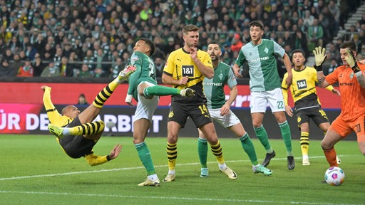 Donyell Malen trifft per Seitfallzieher gegen Werder. Der Ball geht bei Torwart Michael Zetterer durch die Beine.