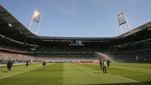 Die Werder-Greenkeeper bearbeiteten vor einem Spiel im Weser-Stadion den Rasen.