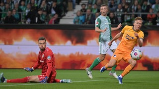 Maximilian Beier trifft  zum 1:0 für Hoffenheim gegen Werder. Jiri Pavlenka schaut dem Ball hinterher.
