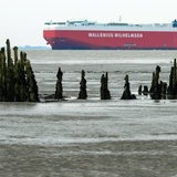 Ein Autotransportschiff passiert das Watt der Außenwesen.