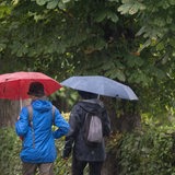 Zwei ältere Frauen gehen mit aufgespannten Regenschirmen eine Allee entlang.