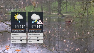 Die Wetterkachen, im Hintergrund die Wallanlagen.