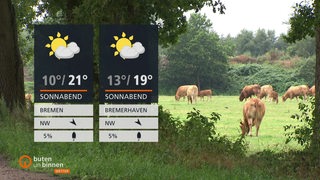 Die Wettertafeln vor einer Weide mit Kühen drauf. 