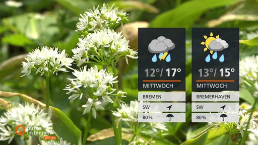Bärlauch in der Bremer Wallanlage, rechts die Wettertafeln. 