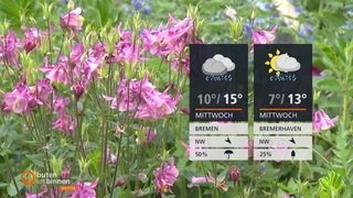 Rechts sind die Wetterkacheln und im Hintergrund sind rosa und blaue Blumen auf einer Wiese zu sehen.