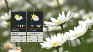 Importiertes Bild