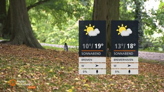 Zu sehen ist ein Waldstück und rechts im Bild die Wettertafeln.