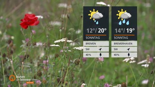 Die Wettertafeln vor einer Blumenwiese