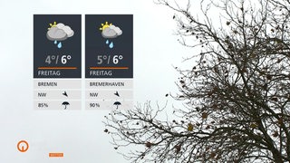 Ein grauer Himmel und ein wehende, kahle Baumkrone davor. Links im Bild die Wettertafel.