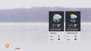 Ein grauer, leicht angefrorener See mit blattlosen Bäumen im Hintergrund.