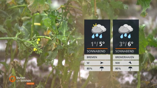Rechts sind die Wetterkacheln und im Hintergrund sind grüne Pfanzen in einem Beet zu sehen.
