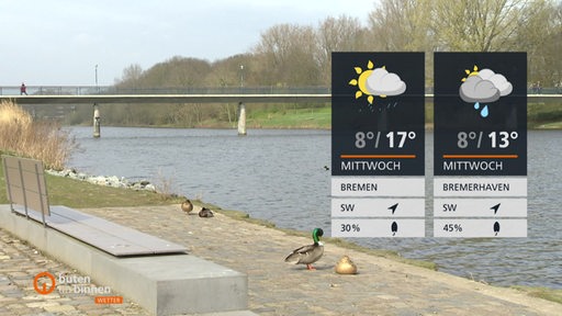 Die Wettertafeln vor der Brücke am Werdersee mit einer Bank und Enten im Vordergrund