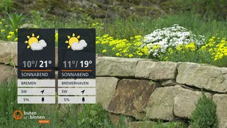 Links sind die Wetterkacheln und im Hintergrund befindet sich ein Beet mit gelben und weißen Blumen.