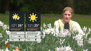Zu sehen ist die Wetter Moderatorin Constance Hossfeld Seedorf in einer Blumenwiese. Links im Bild die Wettertafeln.