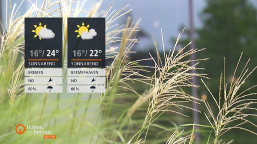 Die Wettertafeln vor einigen Ähren, die im Wind schaukeln