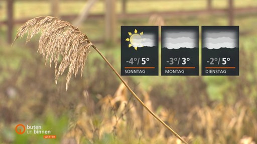 Ein trockener Ast ragt neben der Wettertafel für die nächsten drei Tage.