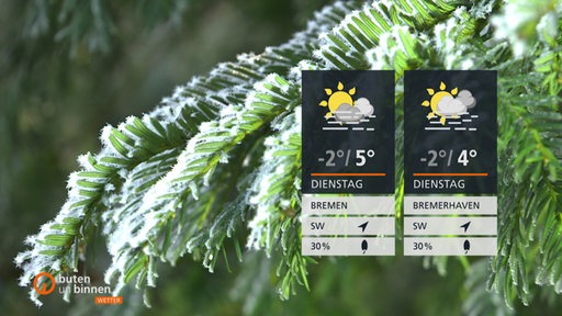 Die Wetterkacheln mit frostigen Tannenzweigen im Hintergrund