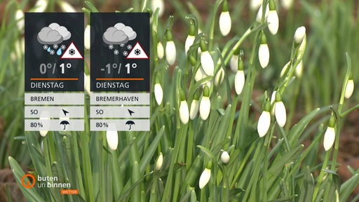 Die Wetterkacheln mit Frühlingsglöckchen im Hintergrund