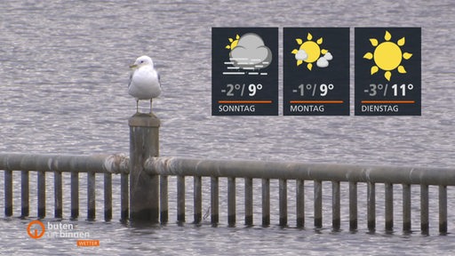 Wettertafeln vor einer Möwe am Mahndorfer See