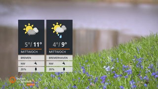 Die Wetterkacheln vor einer Wiese mit blauen Blumen.