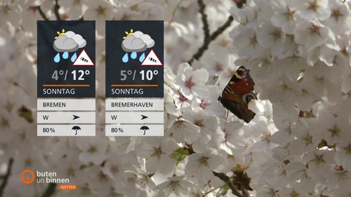 Die Wetterkacheln links im Bild und im Hintergrund sehen wir Blumen.