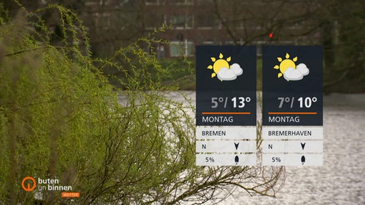 Ein blühender Busch an den Wallanlagen. Rechts im Bild die Wettertafel.