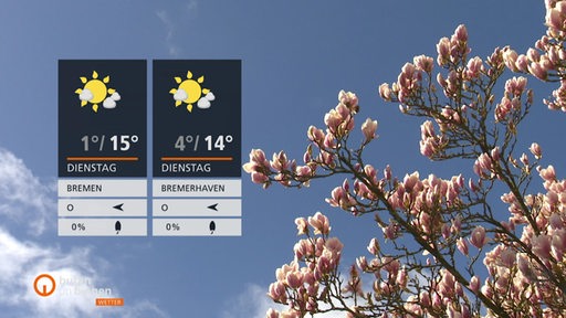 Die Wettertafeln vor einem strahlend blauen Himmel und den Blüten eines Kirschbaums