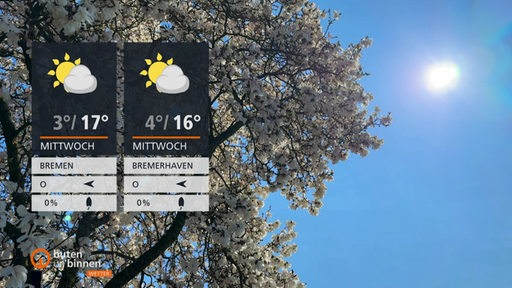 Zwei Wettertafeln mit blühendem Kirschbaum im Hintergrund