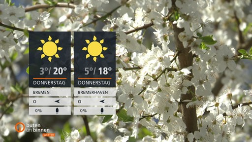 Links sind zwei Wetterkacheln einblendet und im Hintergrund sind die weißen Blüten eines Obstbaums zu sehen