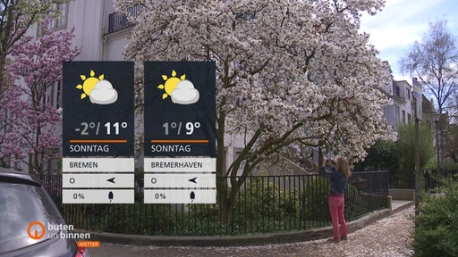 Die Wetterkacheln links im Vordergrund und im Hintergrund sehen wir einen Baum in Schwachhausen.