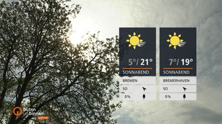 Zwei Wettertafeln mit einer Baumkrone und bewölktem Himmel im Hintergrund