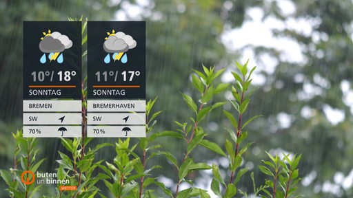 Die Wetterkacheln links im Bild und im Hintergrund sehen wir Pflanzen.