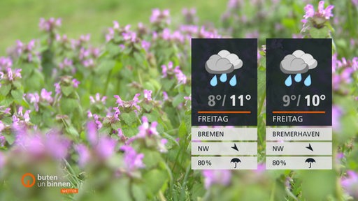 Die Wetterkacheln rechts im Bild und im Hintergrund sind viele lila Blumen.