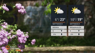 Links im Bild sind blühende Blumen zu sehen, rechts im Bild die Wettertafeln.