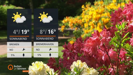 Die Wetterkacheln vor einem Strauch bunter Blumen in einem Park