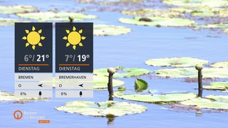 Die Wetterkacheln mit Seerosen und Wasser im Hintergrund