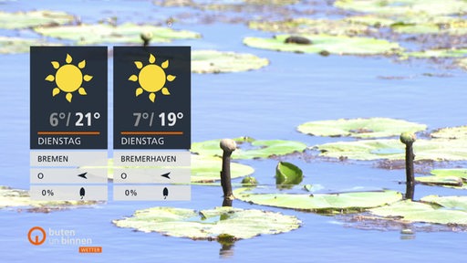 Die Wetterkacheln mit Seerosen und Wasser im Hintergrund