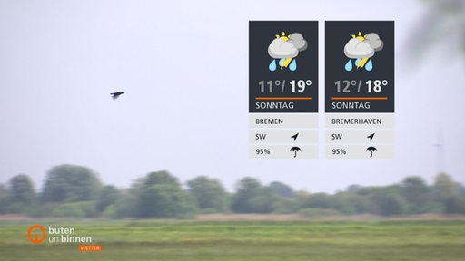 Im Hintergrund sind eine Wiese und Bäume zusehen. Die Wetterkacheln sind rechts im Bild.