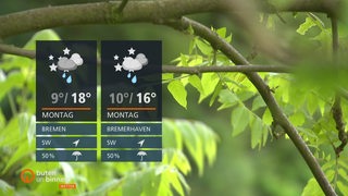Zwei Wettertafeln links im Bild vor Baumästen.