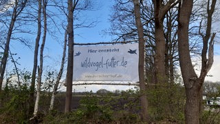 Ein Schild mit der Aufschrift "Hier entsteht wildvogel-futter.de" hängt zwischen Bäumen.