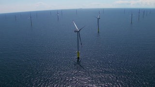 Windräder einer Offshore-Anlage stehen im Meer.