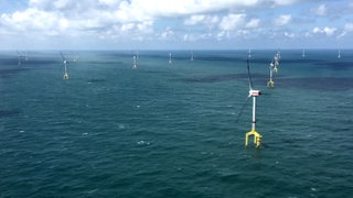 Windräder im Meer