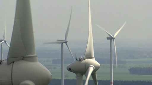 Mehrere Windkrafträder stehen auf Feldern.