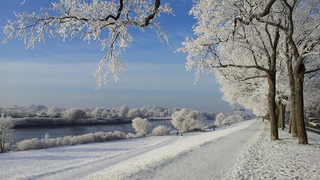 Kühlender Effekt im Sommer, frostfreie Scheiben im Winter