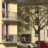 Mehrere Häuser, Autos und ein Baum in einer Wohnsiedlung sind zu sehen.